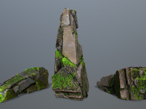 Forest Rock 3 Model 3D