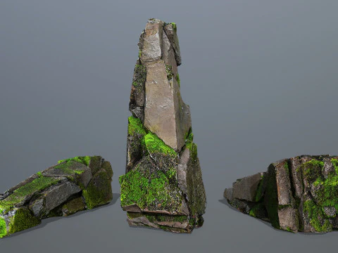 Forest Rock 3 3D Model