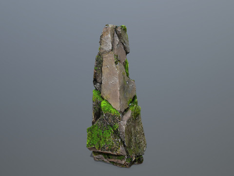 Forest Rock 3 Model 3D