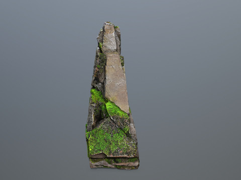 Forest Rock 3 Model 3D