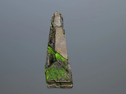 Forest Rock 3 3D Model