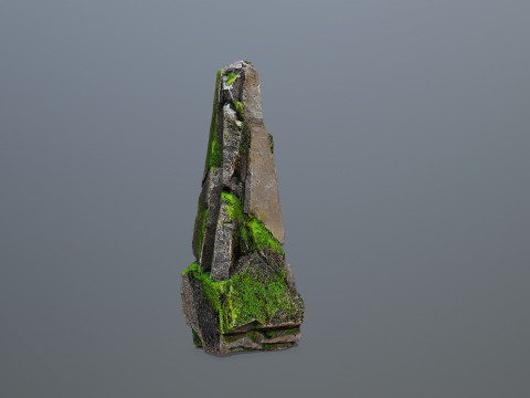 Forest Rock 3 Model 3D
