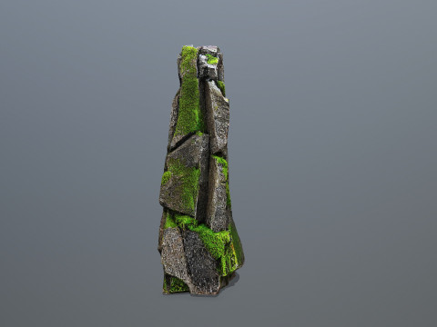 Forest Rock 3 Model 3D