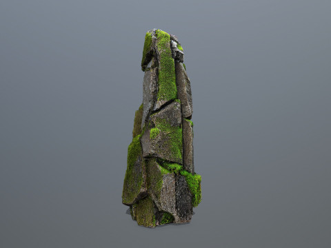 Forest Rock 3 Model 3D