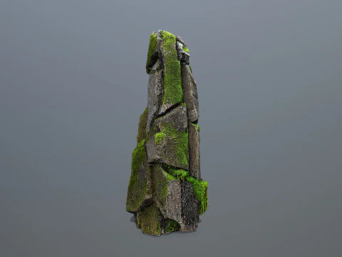 Forest Rock 3 3D Model