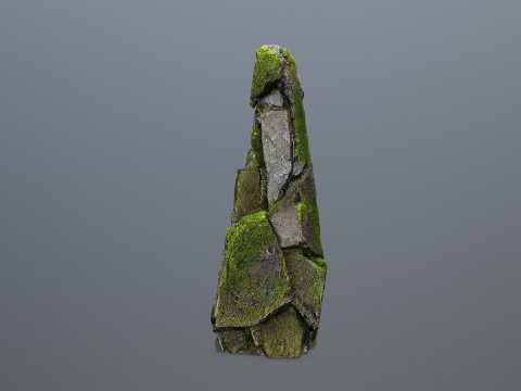 Forest Rock 3 Model 3D