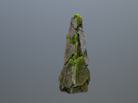 Forest Rock 3 Model 3D