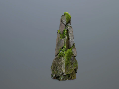 Forest Rock 3 3D Model