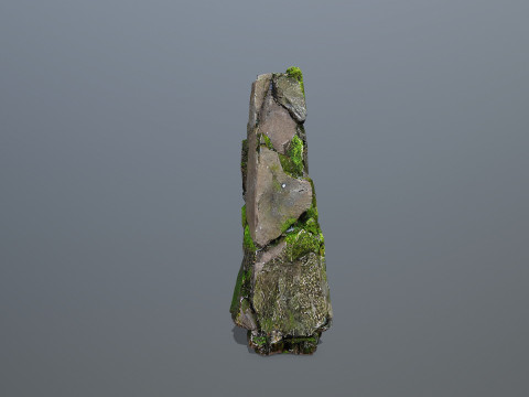 Forest Rock 3 Model 3D