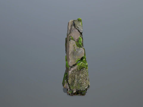 Forest Rock 3 3D Model
