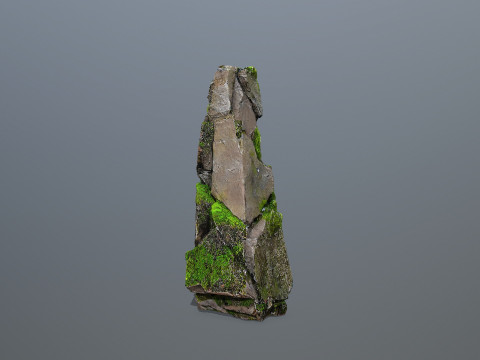 Forest Rock 3 Model 3D