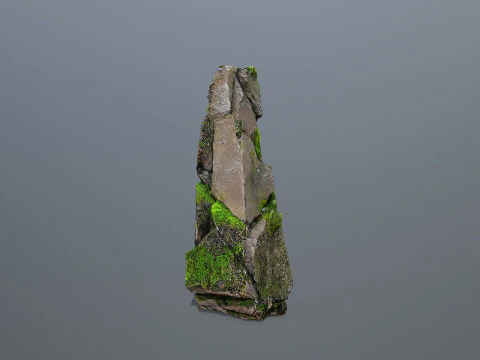 Forest Rock 3 3D Model