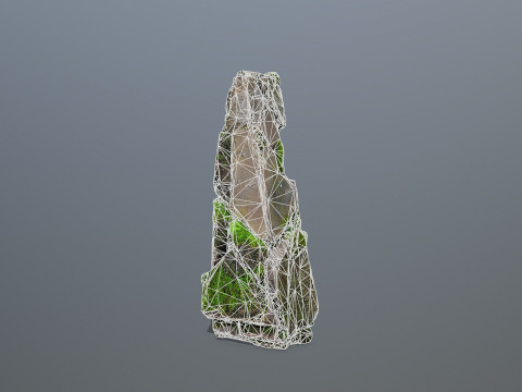 Forest Rock 3 Model 3D