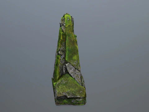 Mossy forest river stones 3D Model