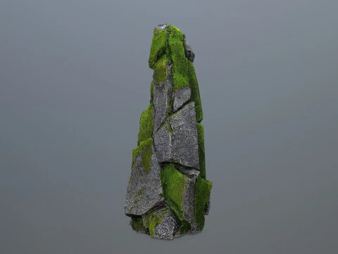 Mossy forest river stones 3D Model