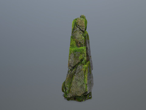 Mossy forest river stones Modelo 3D
