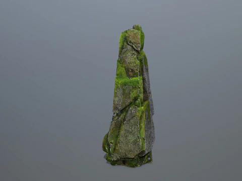 Mossy forest river stones 3D Model