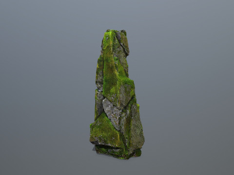 Mossy forest river stones Modelo 3D