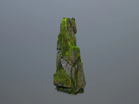Mossy forest river stones 3D Model