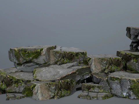 Roccia muschiosa 2 Modello 3D