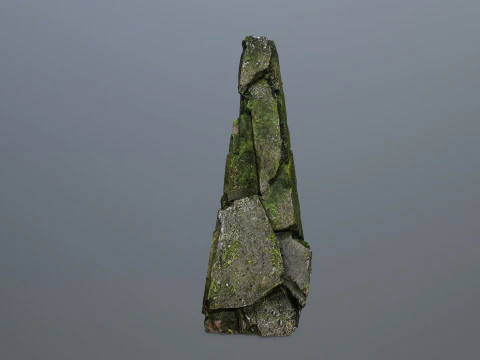 Rocas cubiertas de musgo Modelo 3D