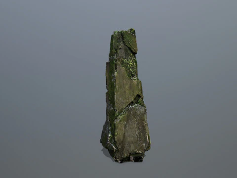 Rocas cubiertas de musgo Modelo 3D