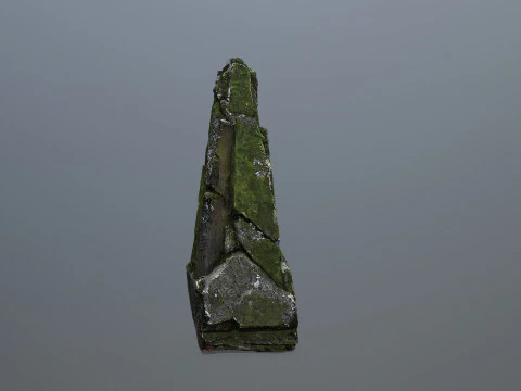 Rocas cubiertas de musgo Modelo 3D