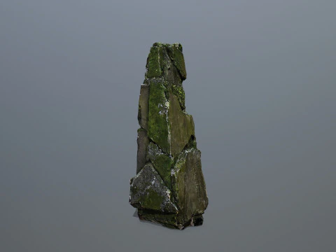 Rocas cubiertas de musgo Modelo 3D