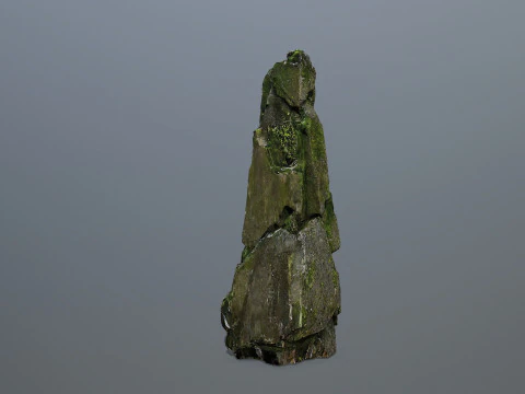 Rocas cubiertas de musgo Modelo 3D