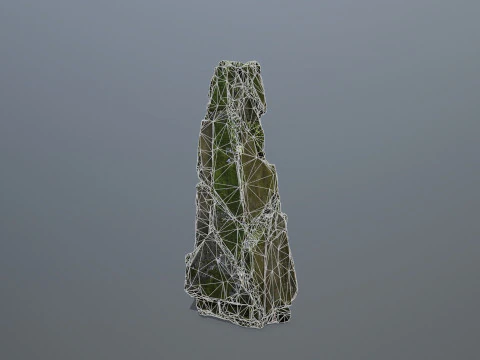Rocas cubiertas de musgo Modelo 3D