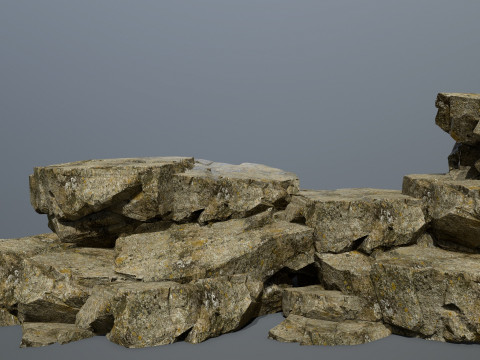 Forest rocks Model 3D