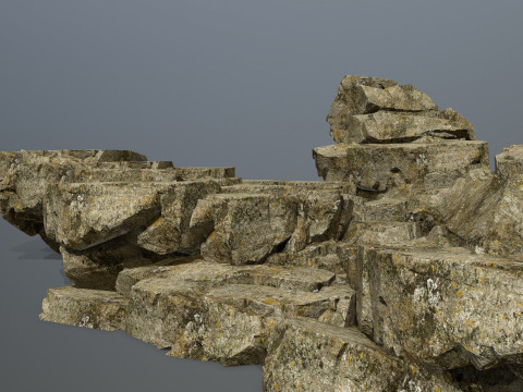 Forest rocks 3D मॉडल