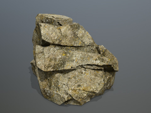 Forest rocks 3D मॉडल