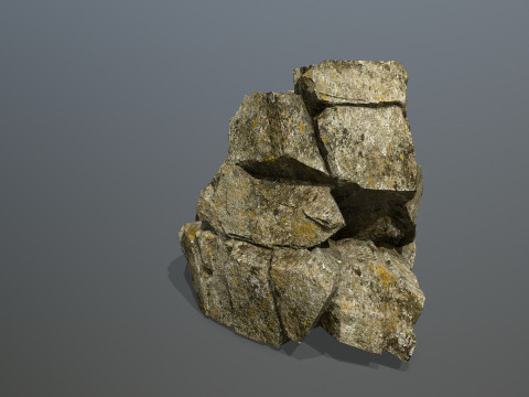 Forest rocks 3D मॉडल
