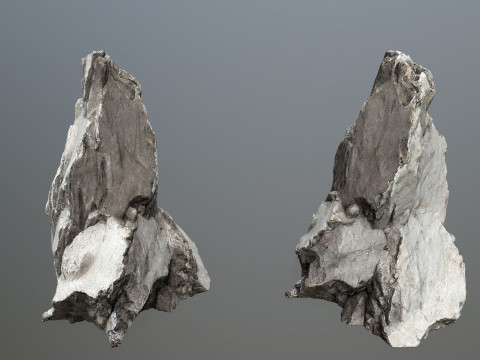 White rocks 3D 模型