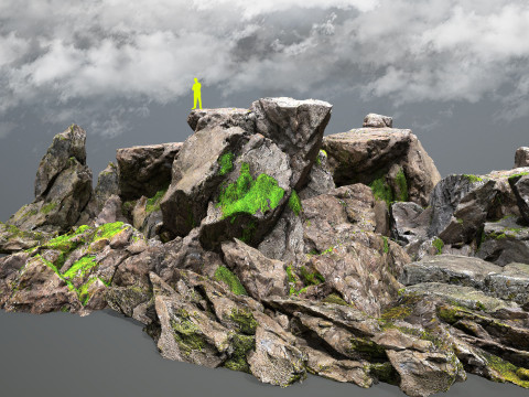 Forest rocks Model 3D