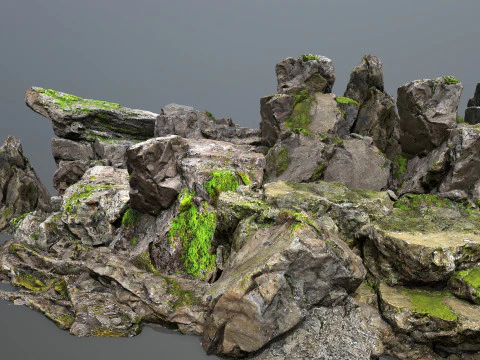 Forest rocks 3D Model
