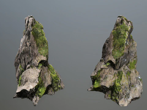Forest rocks 3D Model