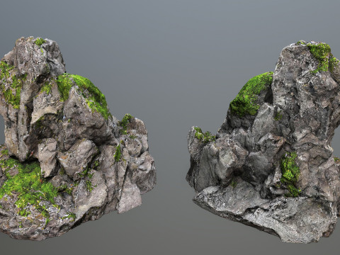 Forest rocks 3D Model