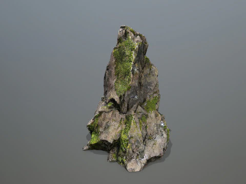 Forest rocks 3D Model