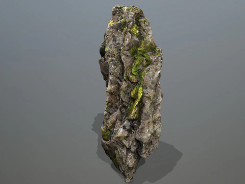 Forest rocks 3D Model