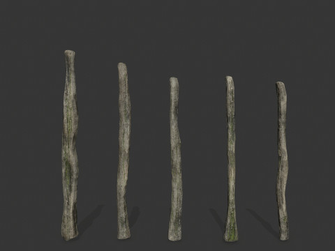 Old woods 3D Модель