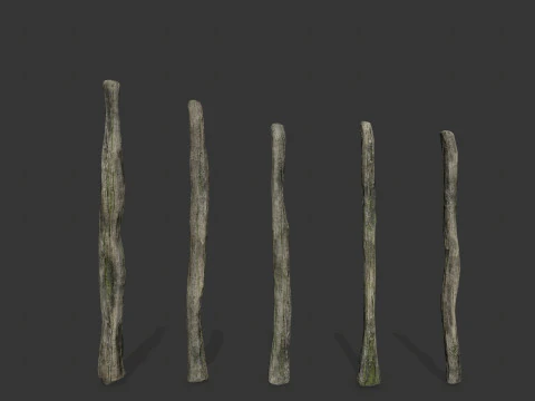 Oude bossen 3D Model