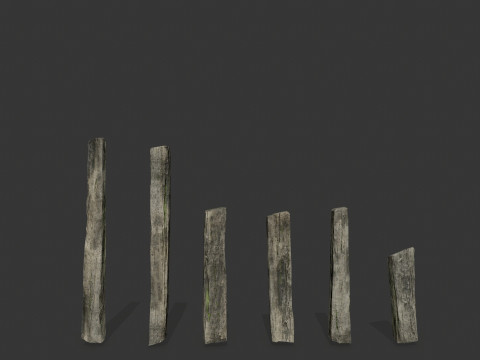 Old woods 3D Модель