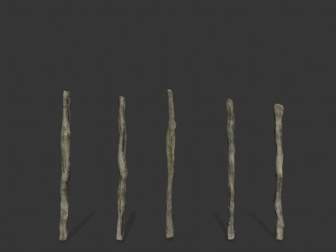 Old woods 3D Модель