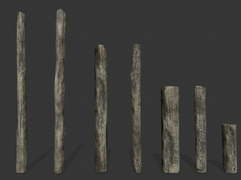 Old woods 3D Модель