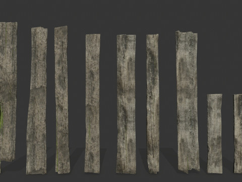 Old woods 3D Модель