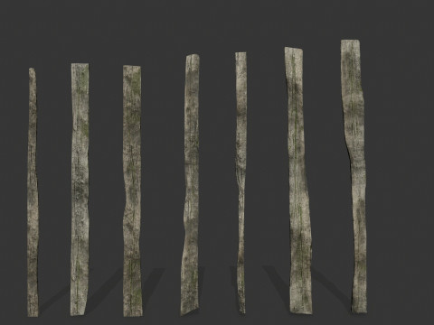 Old woods 3D Модель