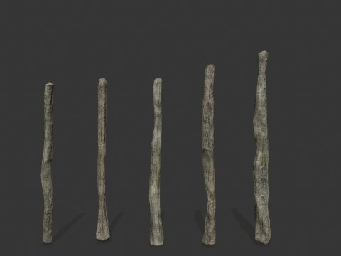 Old woods 3D Модель