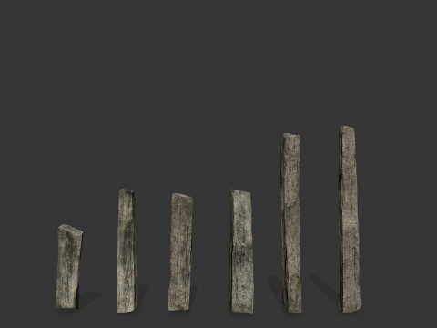 Old woods 3D Модель